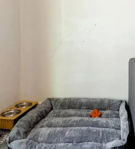 Apartment 2br With Bbq & Parking Spring Fling